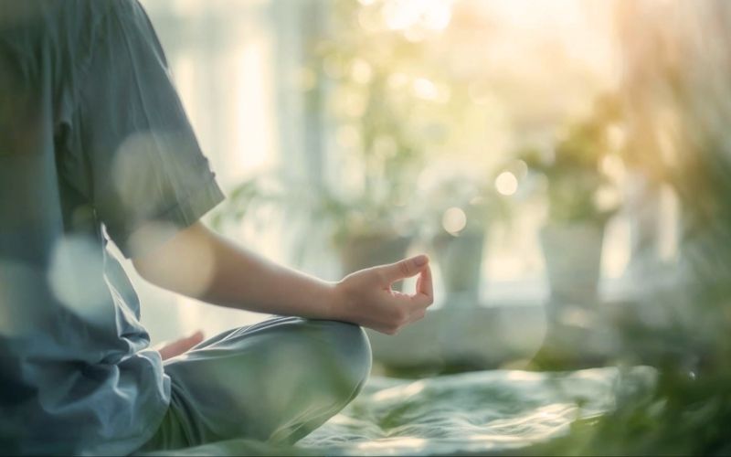 spud-media-newsletters